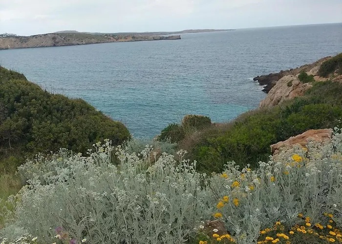 Castell Arenal Breeze