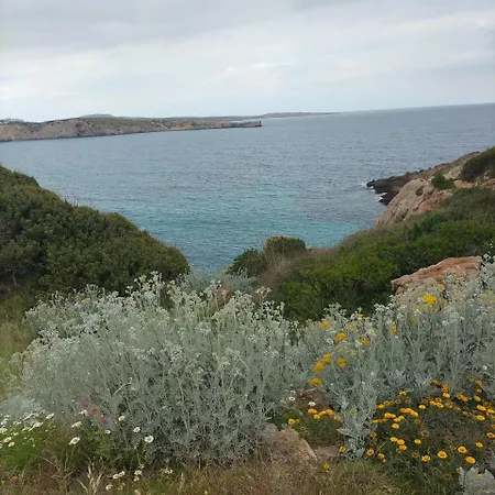 Castell Arenal Breeze